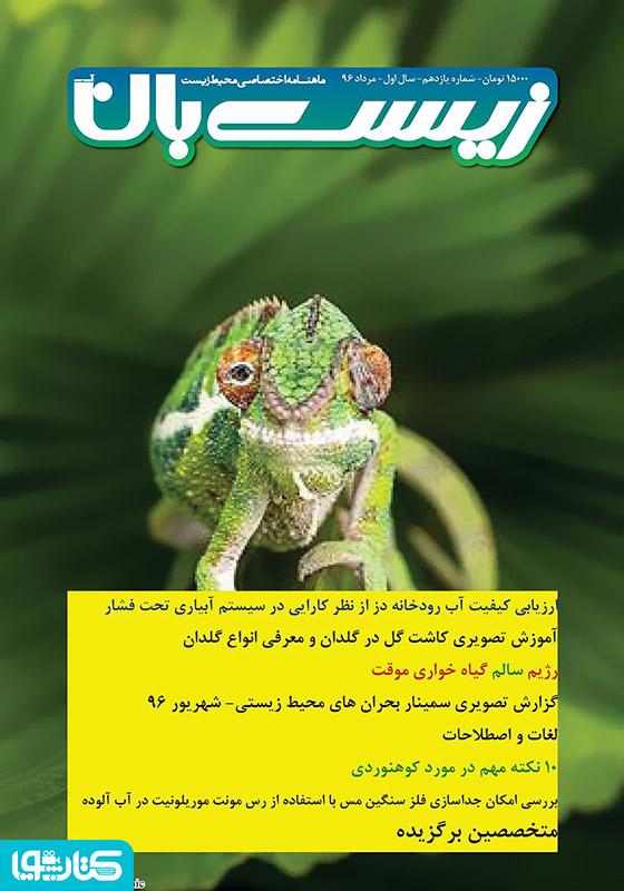 ماهنامه اختصاصی زیست‌بان آب - شماره یازدهم؛ مرداد 1396