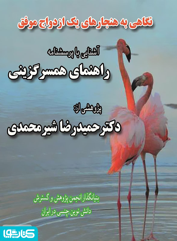 پرسشنامه راهنمای همسرگزینی، آشنایی با هنجارهای یک ازدواج موفق
