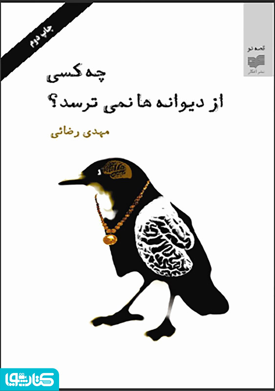 رمان چه کسی از دیوانه ها نمی ترسد؟