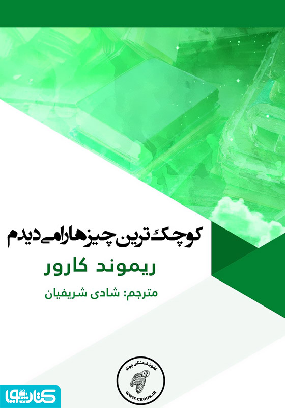 کوچک‌ترین چیزها را می‌دیدم