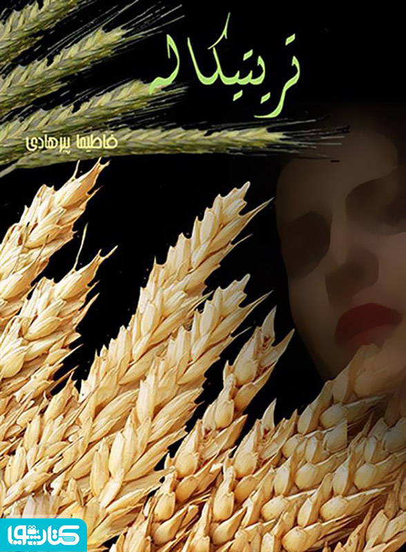 تریتیکاله