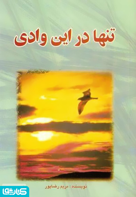تنها در این وادی