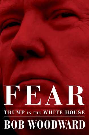 Fear  Trump in the White House