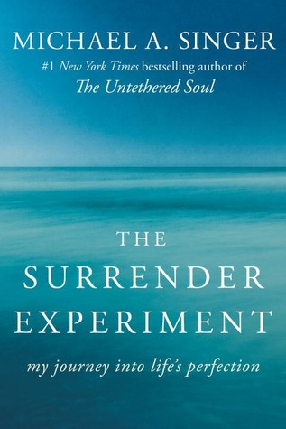 The Surrender Experiment  My Journey into Life's Perfection